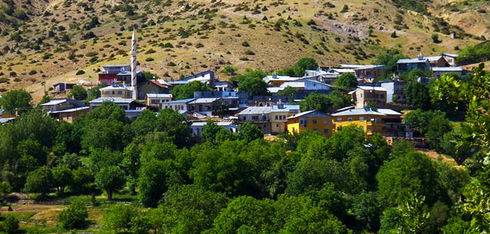 Kemah Ağaçsaray Pağnik Köyü